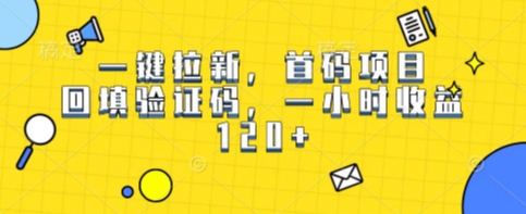 一键拉新，首码项目，回填验证码，一小时收益1张-副业资源网
