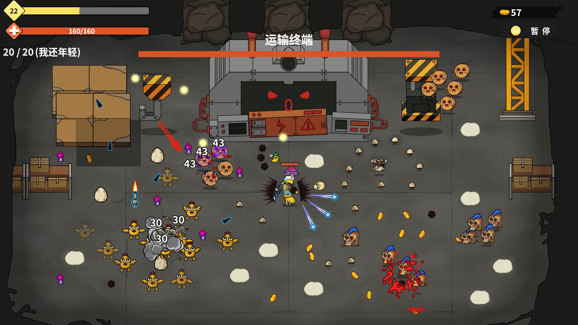 香蕉兄弟/Bronana