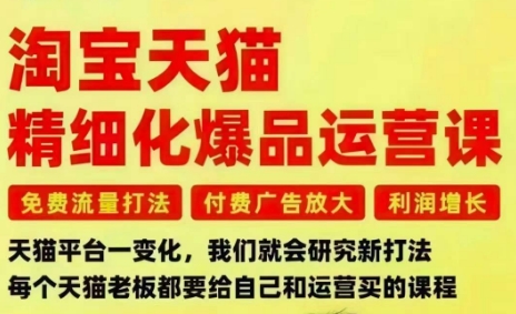 淘宝天猫精细化爆品运营课，免费流量打法-付费广告放大-利润增长-三大核心痛点，一次全部解决-副业资源网