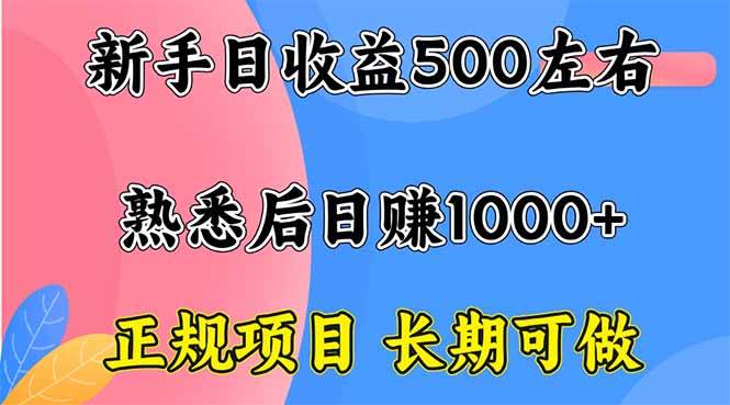 （16132期）新手日收益500+ 正规项目 长期可做-副业资源网