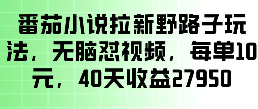 番茄小说拉新野路子玩法，无脑怼视频，玩法简单、见效快，每单10米，40天收益27950-副业资源网