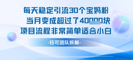 每天稳定引流30个人 当月变成超过了4个W项目流程非常简单适合小白-副业资源网