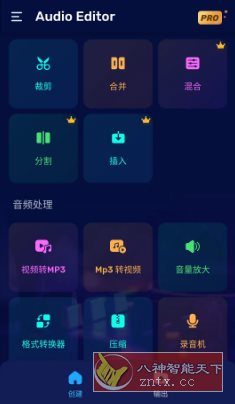 Audio Editor音频编辑 v1.01.72.0623专业版-副业资源网