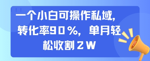 一个小白可操作私域，转化率90%，单月轻松收割2W-副业资源网