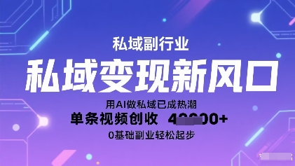 私域变现新风口：用AI做私域已成热潮，单条视频创收1k+，0基础副业轻松起步-副业资源网