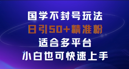 国学赛道不封号玩法，日引50+精准粉适合多平台，小白也可快速上手-副业资源网