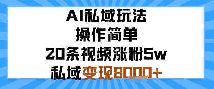 AI私域玩法，操作简单，20条视频涨粉5w，私域变现8k+-副业资源网
