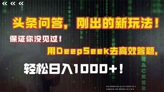 （15217期）头条问答，刚出的新玩法！保证你没见过！结合Deepseek高效答题，日入1000+-副业资源网