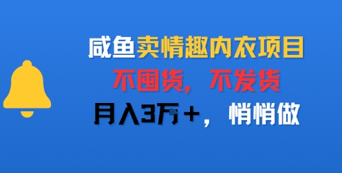 咸鱼卖情趣内衣项目，不囤货，不发货，月入3W+，悄悄做-副业资源网