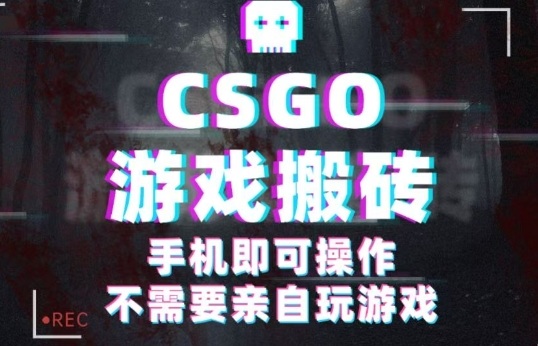CSGO游戏挂G捡漏，单日扫货5张+，年底小高峰上车可吃肉，手机即可操作，兼职副业创业网创【揭秘】-副业资源网