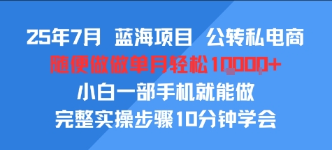 25年7月蓝海项目，公转私电商，随便做做单月轻松1w，小白一部手机就能做，完整实操步骤10分钟学会-副业资源网