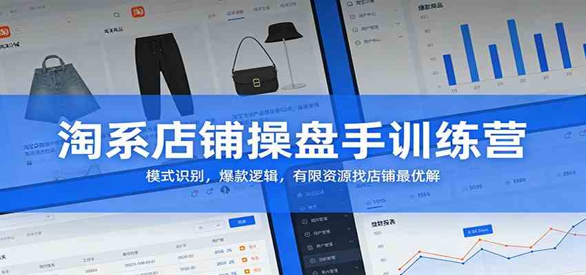 淘系店铺操盘手训练营：模式识别，爆款逻辑，有限资源找店铺最优解-副业资源网