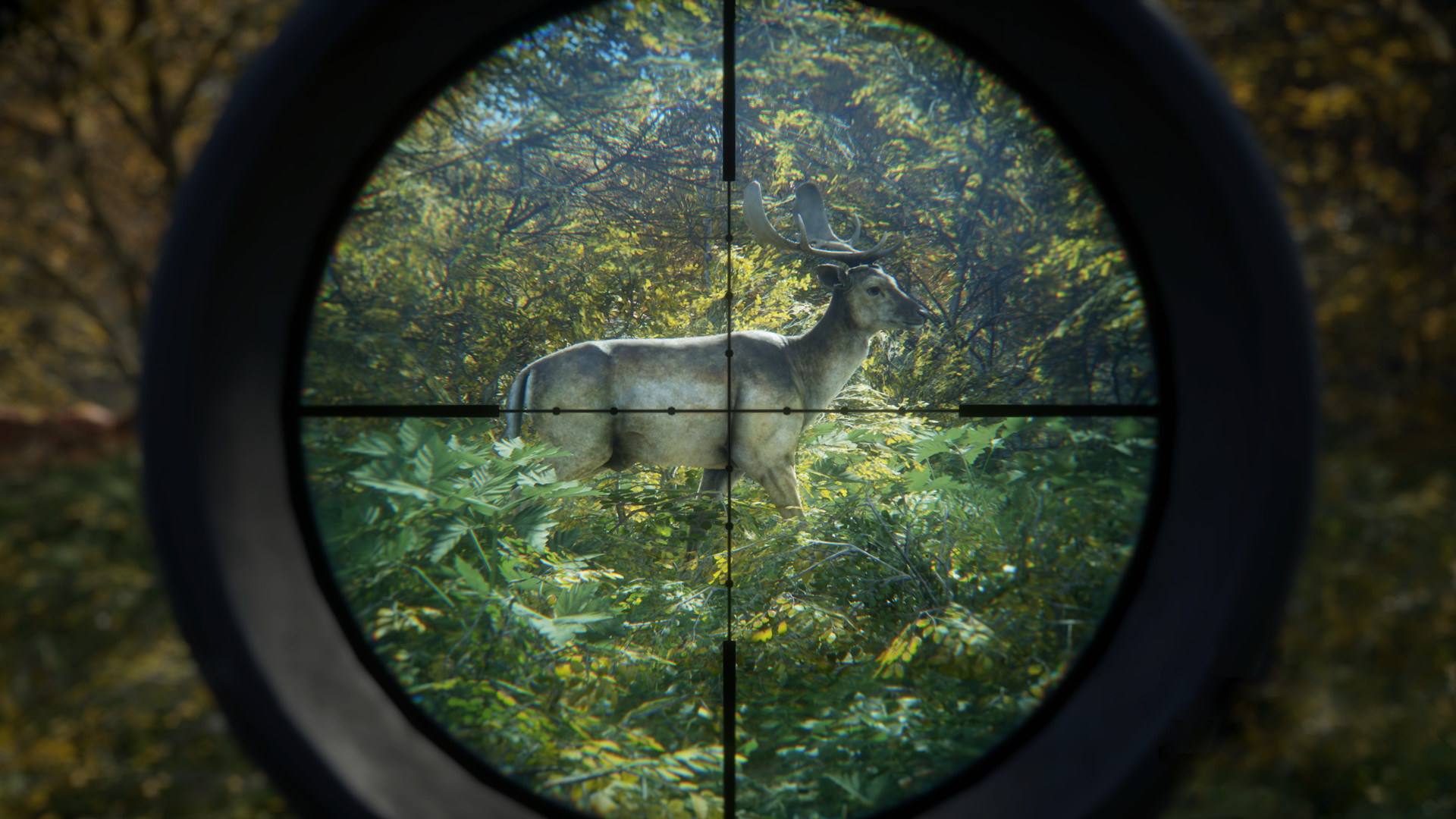 猎人：荒野的召唤/theHunter: Call of the Wild 版本更新