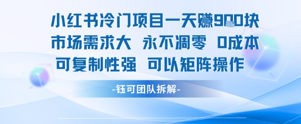 小红书冷门项目一天收益9张，市场需求大，0成本，可复制性强可以矩阵操作-副业资源网