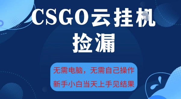 CSGO云挂G全自动捡漏，最新独家玩法，无需电脑操作，新手小白日入5张+【揭秘】-副业资源网