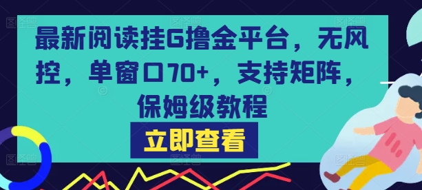 最新阅读挂G撸金平台，无风控，单窗口70+，支持矩阵，保姆级教程【揭秘】-副业资源网