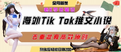 海外tiktok小说推文暴力项目，高停留率，高转化率，上手后一天搞顿饭钱不是问题-副业资源网