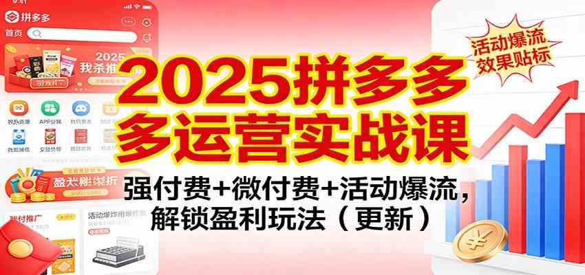 2025拼多多运营实战课：强付费+微付费+活动爆流，解锁盈利玩法（更新）-副业资源网