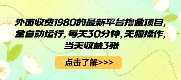 外面收费1980的最新平台撸金项目，全自动运行，每天30分钟，无脑操作，当天收益3张【揭秘】-副业资源网