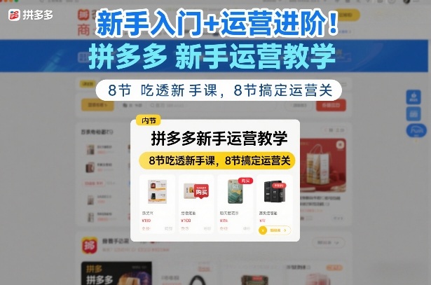 新手入门+运营进阶！拼多多新手运营教学，8节吃透新手课，8节搞定运营关-副业资源网