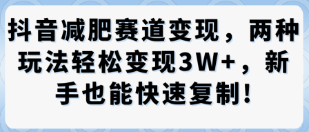 抖音减肥赛道变现，两种玩法轻松变现3W+，新手也能快速复制-副业资源网