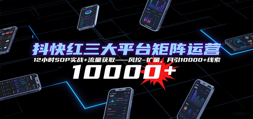 抖快红三大平台矩阵运营，12小时SOP实战+流量获取-风控-扩量，月引10000+线索-副业资源网