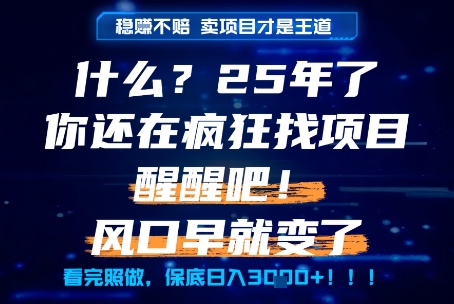 什么？25年你还在疯狂找项目做，醒醒吧，看完这些你全都懂了！【揭秘】-副业资源网