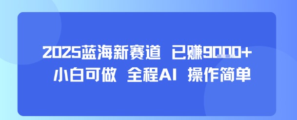 2025蓝海新赛道 已挣9k+ 小白可做 全程AI 操作简单-副业资源网