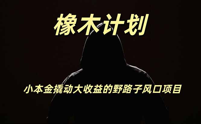 橡木计划，小投入撬动高回报的风口野路子项目，一天投入2小时左右-副业资源网