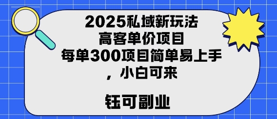 2025私域新玩法高客单价，每单3张操作简单，小白可轻松上手-副业资源网