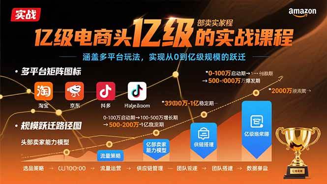 （15803期）亿级电商头部卖家的实战课程：涵盖多平台玩法，实现从0到亿级规模的跃迁-副业资源网