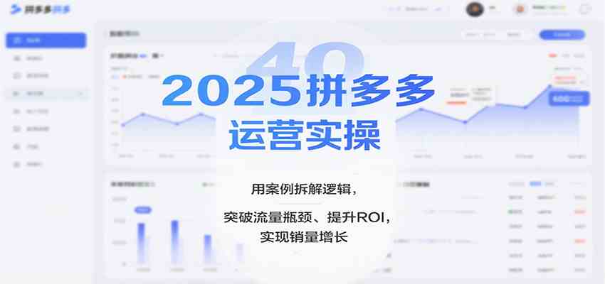 2025拼多多运营实操，用案例拆解逻辑，突破流量瓶颈、提升ROI，实现销量增长（更新）-副业资源网