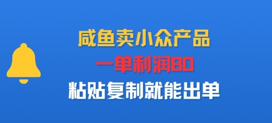 咸鱼卖小众产品，一单利润80，粘贴复制就能出单-副业资源网