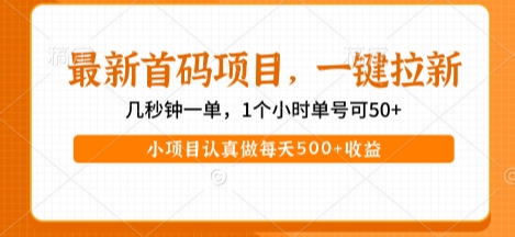 最新首码项目，操作最简单，收益高，一键拉新，1个小时单号可50+，小项目认真做每天5张+收益【揭秘】-副业资源网