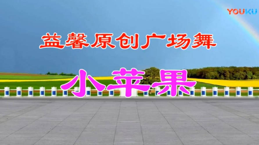 精选高清广场舞视频教学合集500首-副业资源网