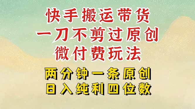 （15577期）快手黑科技搬运带货，一刀不剪过原创，微付费投流玩法，轻松日入四位数…-副业资源网