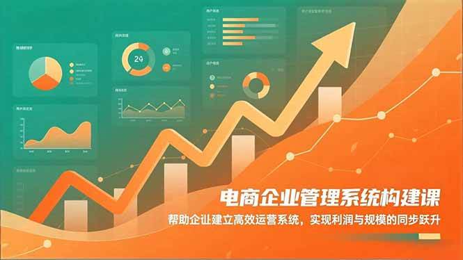 (16643期)电商企业管理系统构建课:帮助企业建立高效运营系统,实现利润与规模的同步跃升-副业资源网