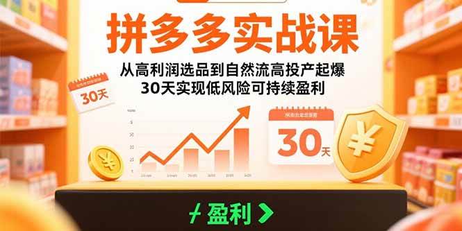 （15586期）拼多多实战课：从高利润选品到自然流高投产起爆 30天实现低风险可持续盈利-副业资源网