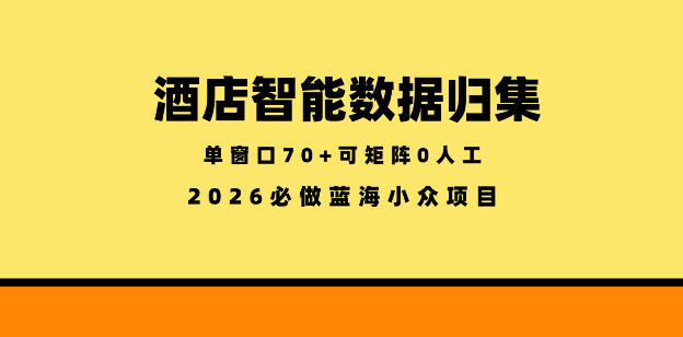 酒店智能数据归集，小众蓝海已经稳定半年之久，单窗口70+零成本矩阵开干【揭秘】-副业资源网