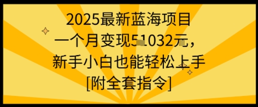 2025最新蓝海项目一个月变现1w+新手小白也能轻松上手【附全套指令】-副业资源网