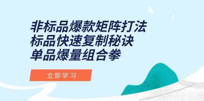 非标品爆款矩阵打法，标品快速复制秘诀，单品爆量组合拳-副业资源网