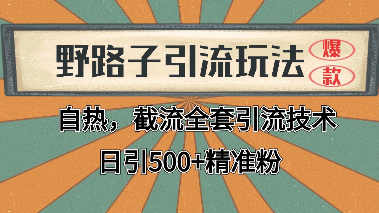 2024首发野路子引流玩法截流自热全平台打法，全自动引流【日引2000+精准客户】-副业资源网
