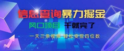 信息查询暴力掘金，一天三条视频，轻松变现四位数，风口项目干就完了【揭秘】-副业资源网