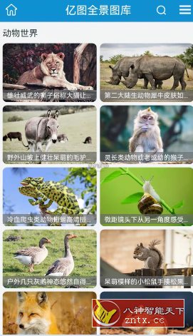 亿图 v1.2.6纯净版-副业资源网