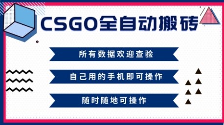 CSGO全自动搬砖,年底钱回家好项目,当天可拿到结果,新手小白轻松月入1W+【揭秘】-副业资源网