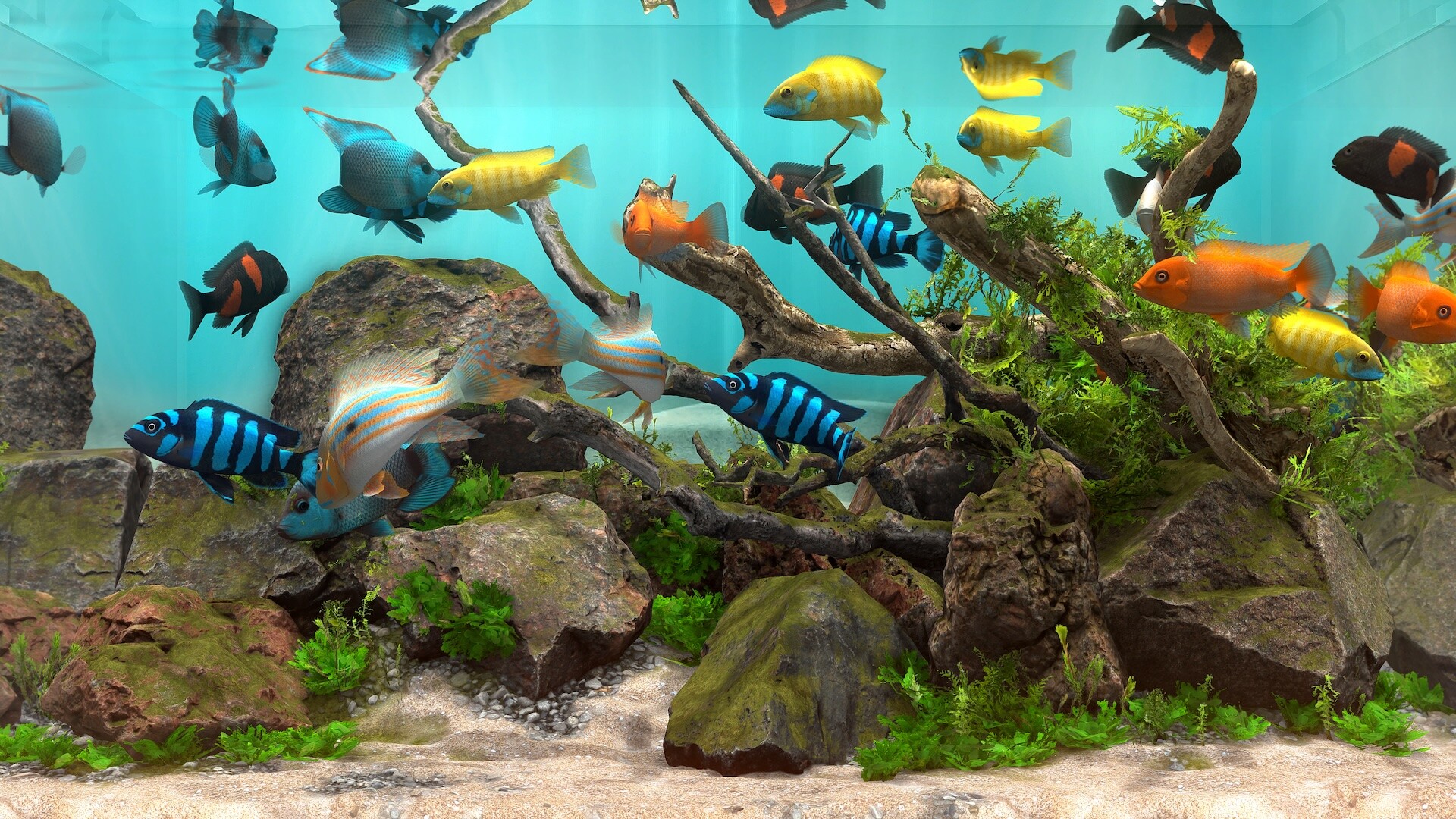 玻璃背后:水族馆模拟器/Behind Glass: Aquarium Simulator 版本更新-副业资源网
