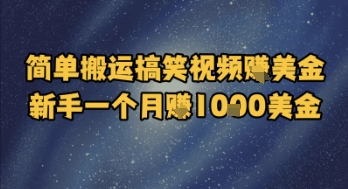 简单搬运搞笑视频挣美金，新手一个月入1k美金-副业资源网