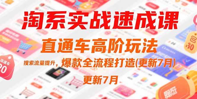 （15374期）淘系实战速成课，直通车高阶玩法，搜索流量提升，爆款全流程打造(更新7月)-副业资源网