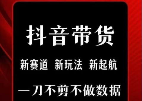 抖音短视频一刀不剪带货，不剪辑，不直播，每天发个视频，等着出单获取带货佣金-副业资源网