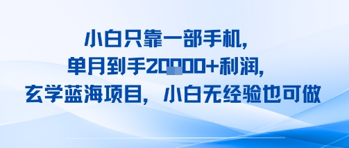 小白只靠一部手机，单月到手2W+利润，玄学蓝海项目，小白无经验也可做-副业资源网